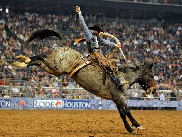 Rodeo-Houston-cowboy-riding-a-bucking-horse_0802591