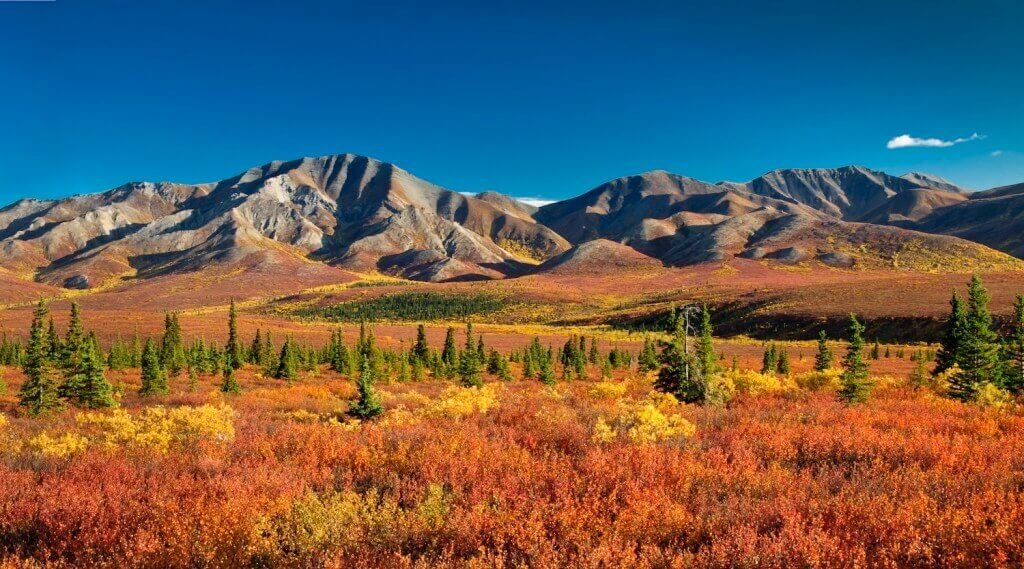 Denali_Alaska