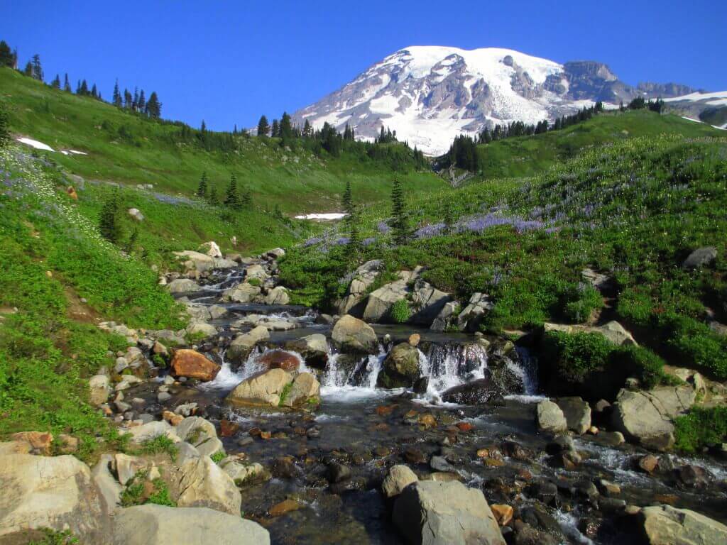 Mount_Rainier_from_above_Myrtle_Falls_in_August