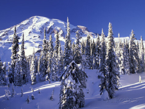 Mount Rainier, WA, USA