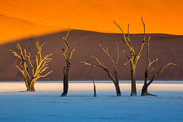 Dead Vlei in Namib-Naukluft Park (Namibia)