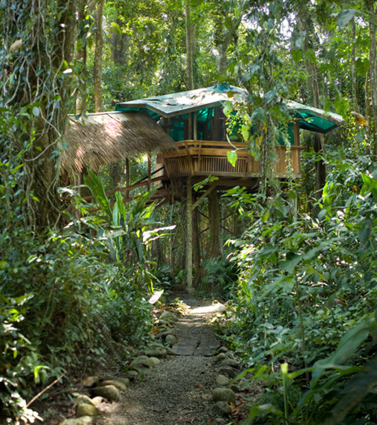 Image source: costaricatreehouse.com