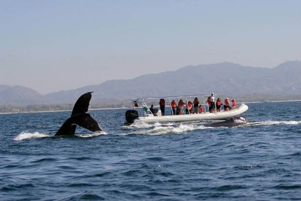 Los Cabos, Mexico